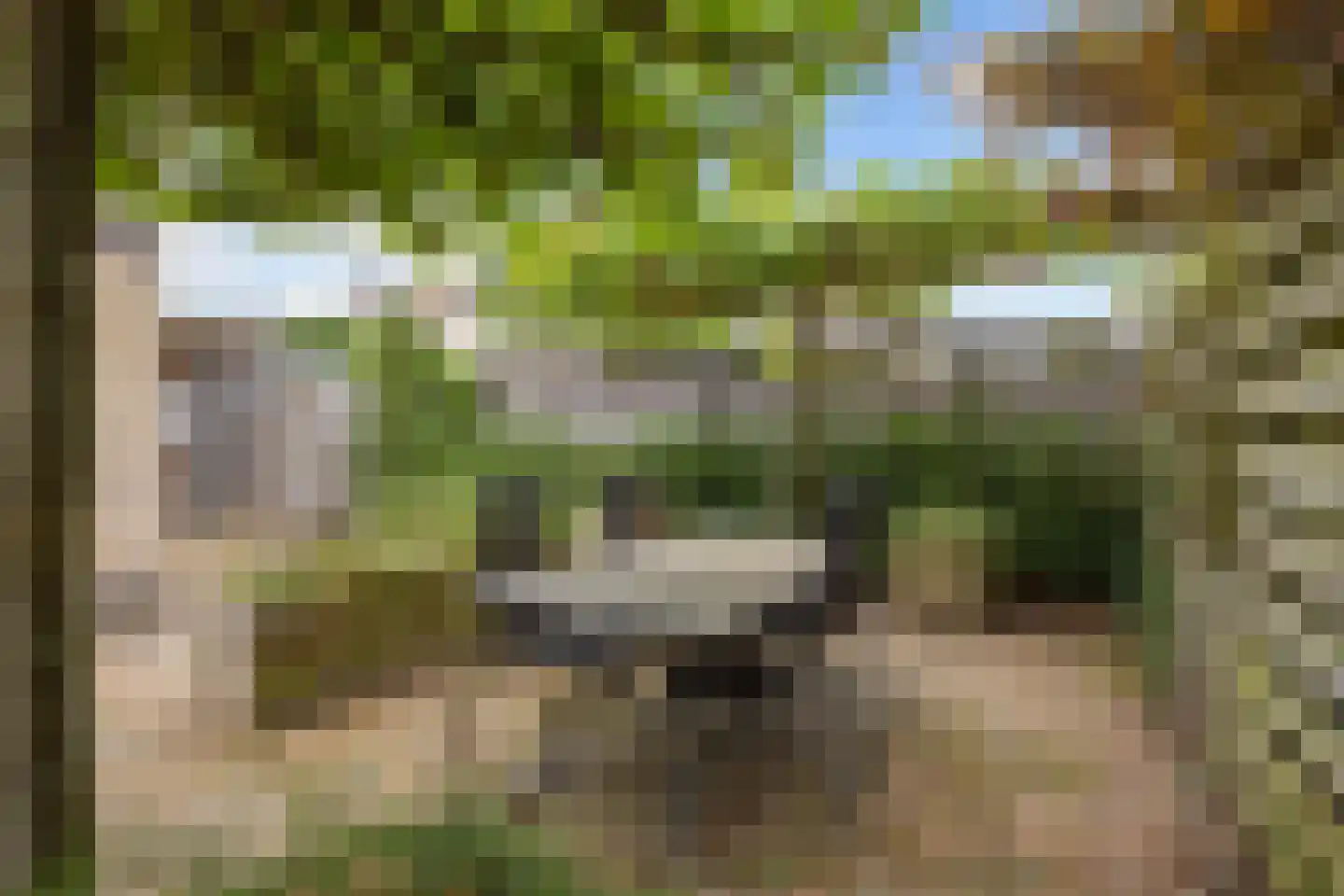 Valeriaan 30 Marum thumbnail 75