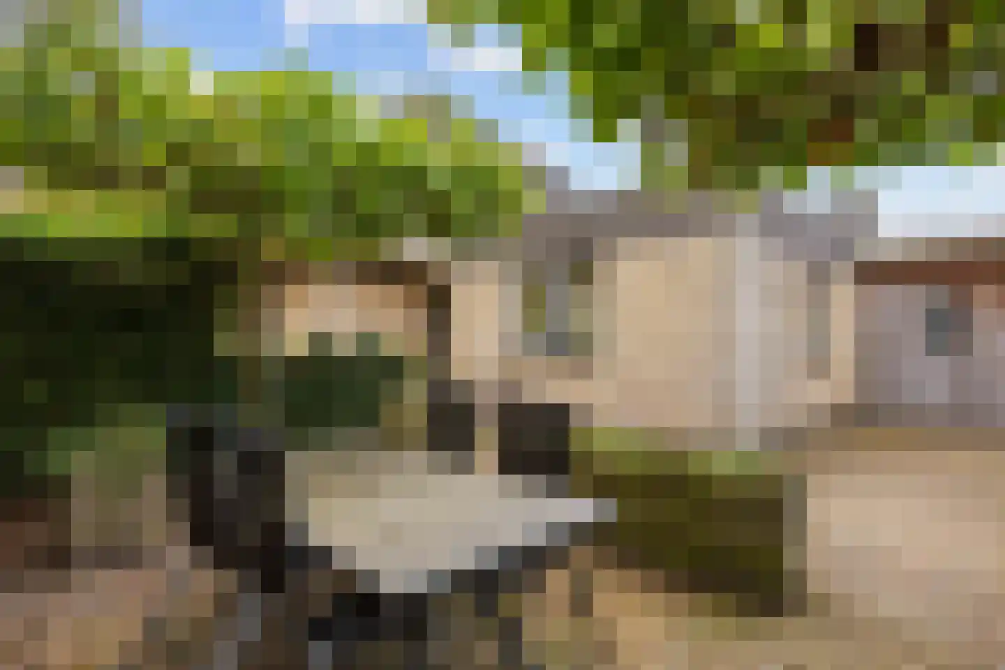 Valeriaan 30 Marum thumbnail 76