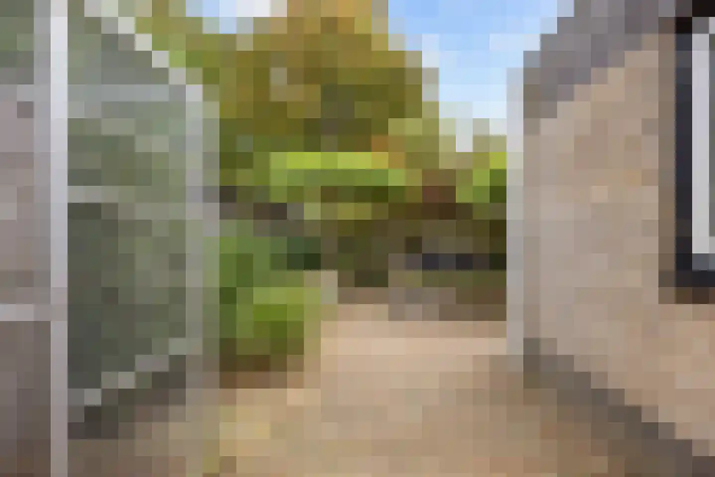Valeriaan 30 Marum thumbnail 78