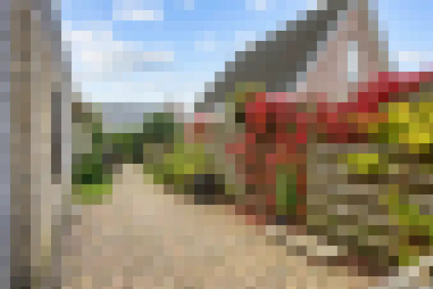 Valeriaan 30 Marum thumbnail 79