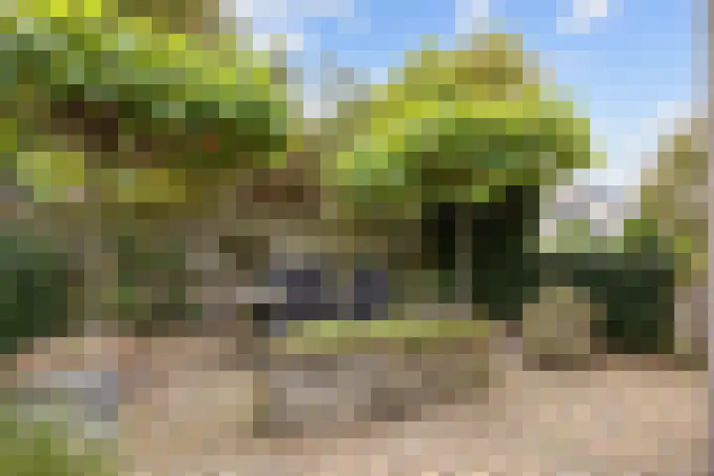 Valeriaan 30 Marum thumbnail 8