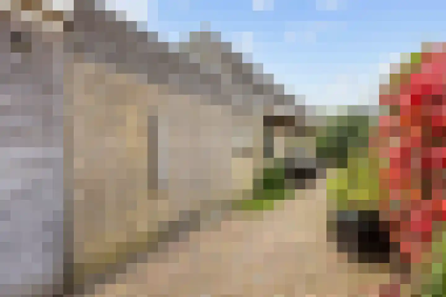 Valeriaan 30 Marum thumbnail 80