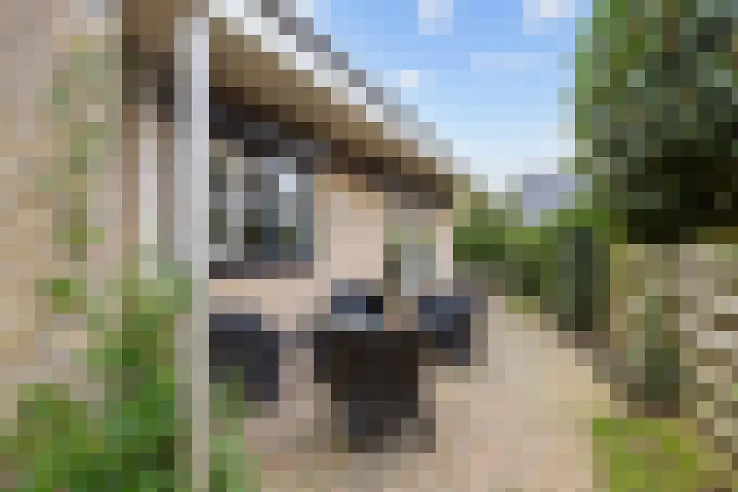Valeriaan 30 Marum thumbnail 81