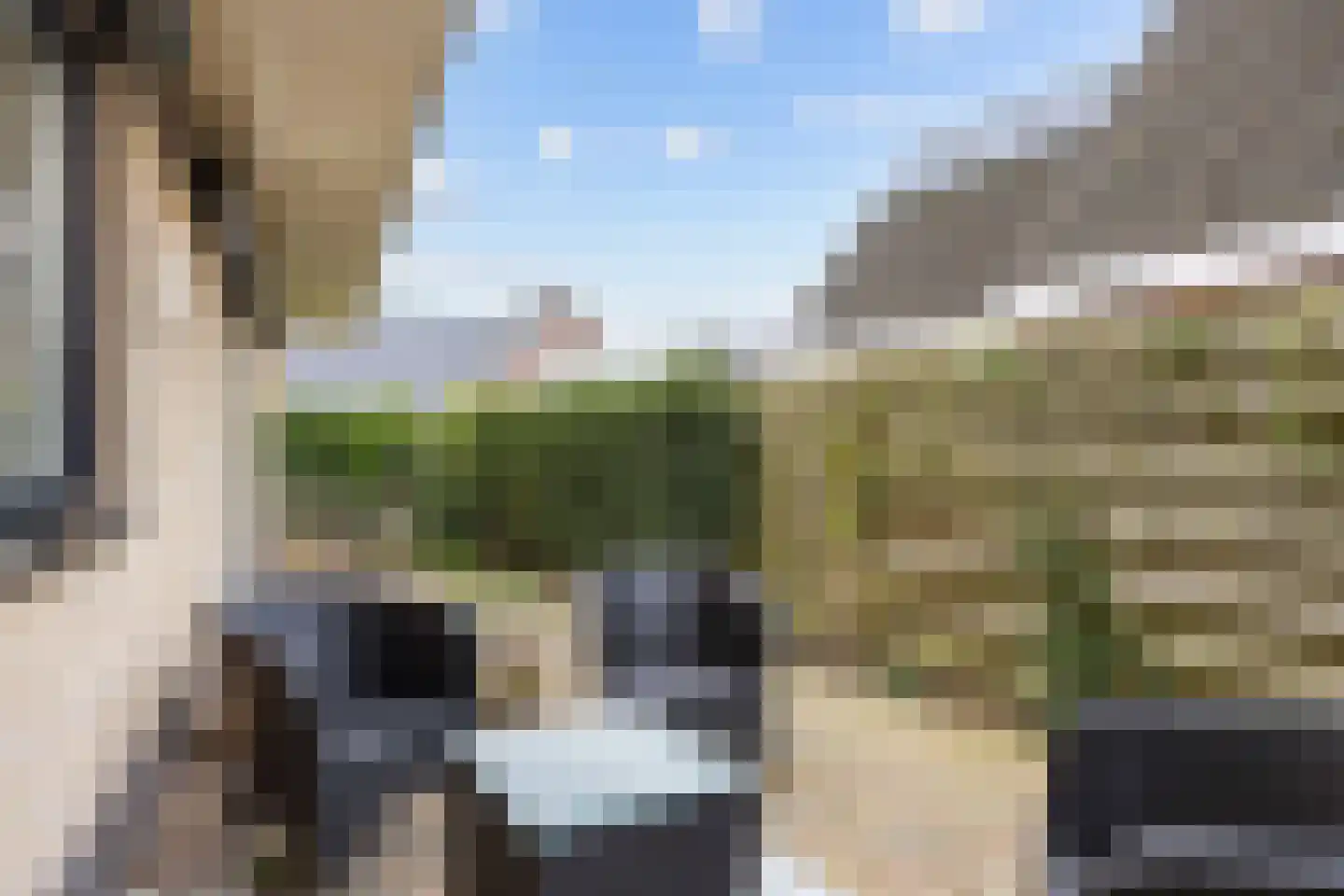 Valeriaan 30 Marum thumbnail 82
