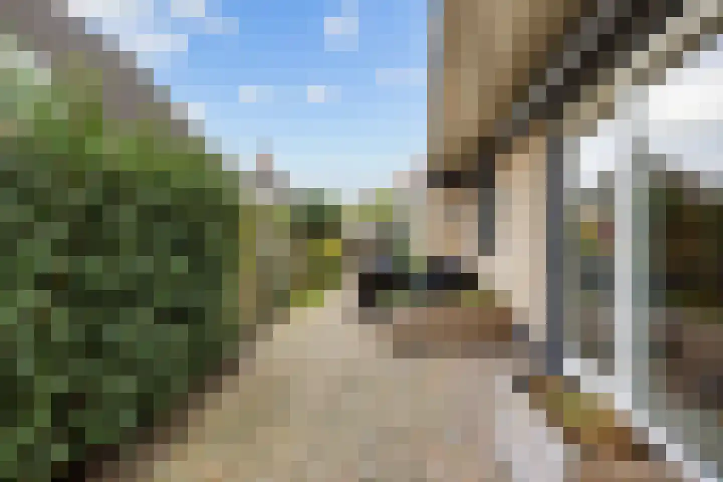 Valeriaan 30 Marum thumbnail 83