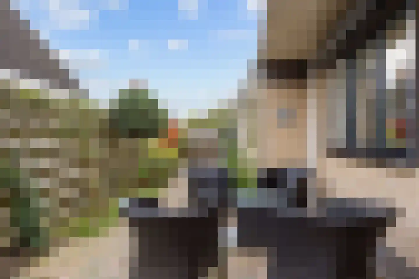 Valeriaan 30 Marum thumbnail 84