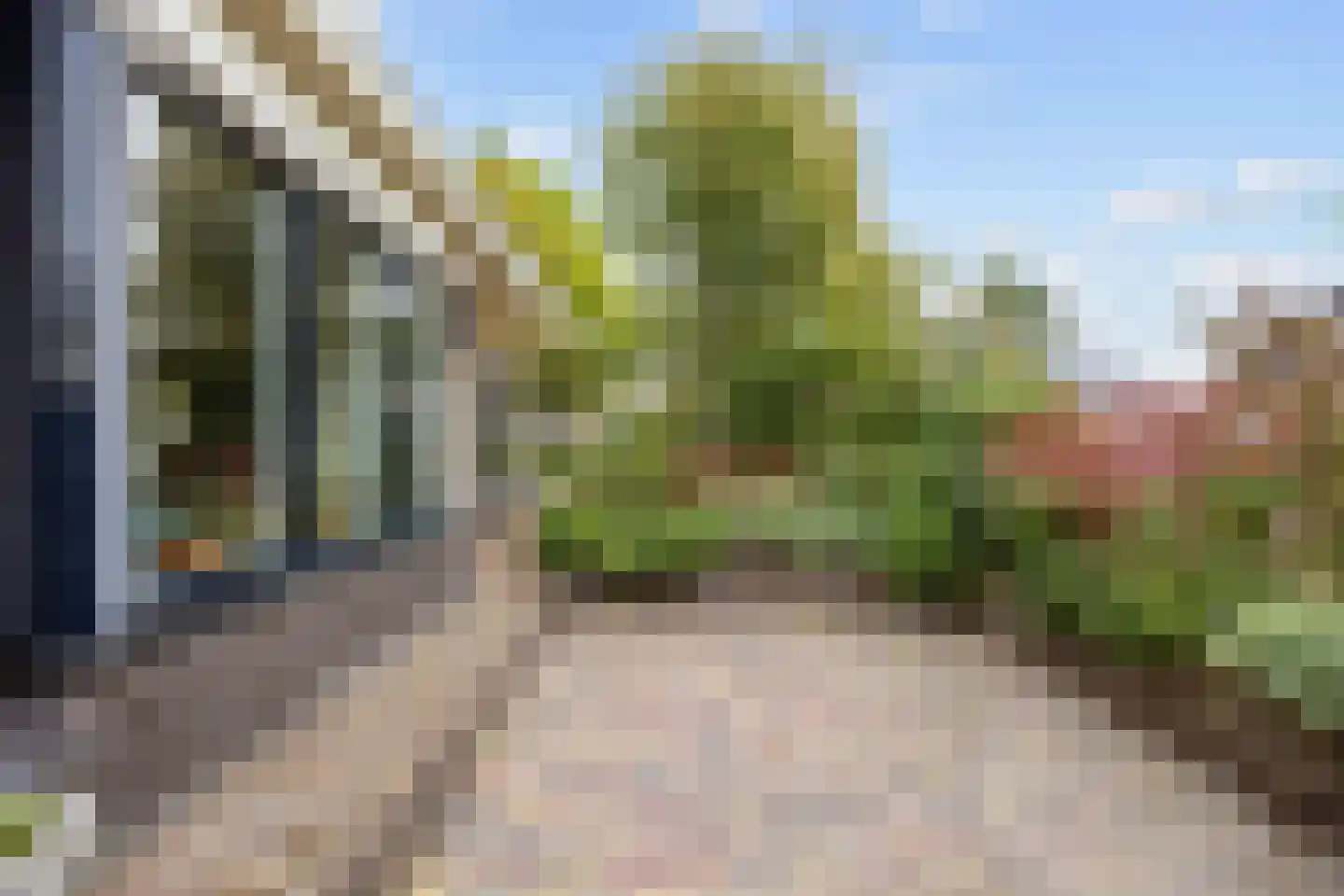 Valeriaan 30 Marum thumbnail 86