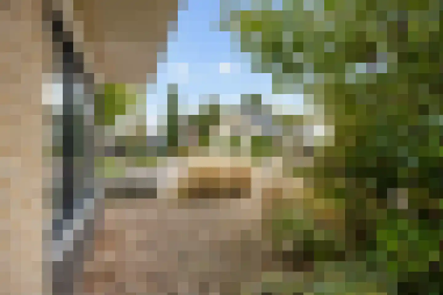 Valeriaan 30 Marum thumbnail 87
