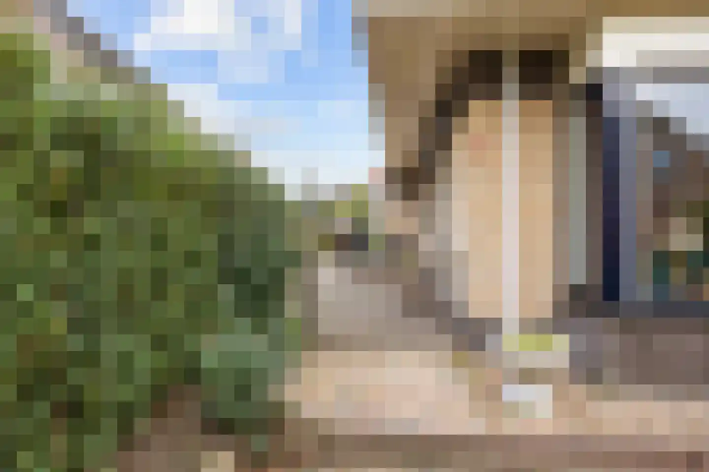 Valeriaan 30 Marum thumbnail 89