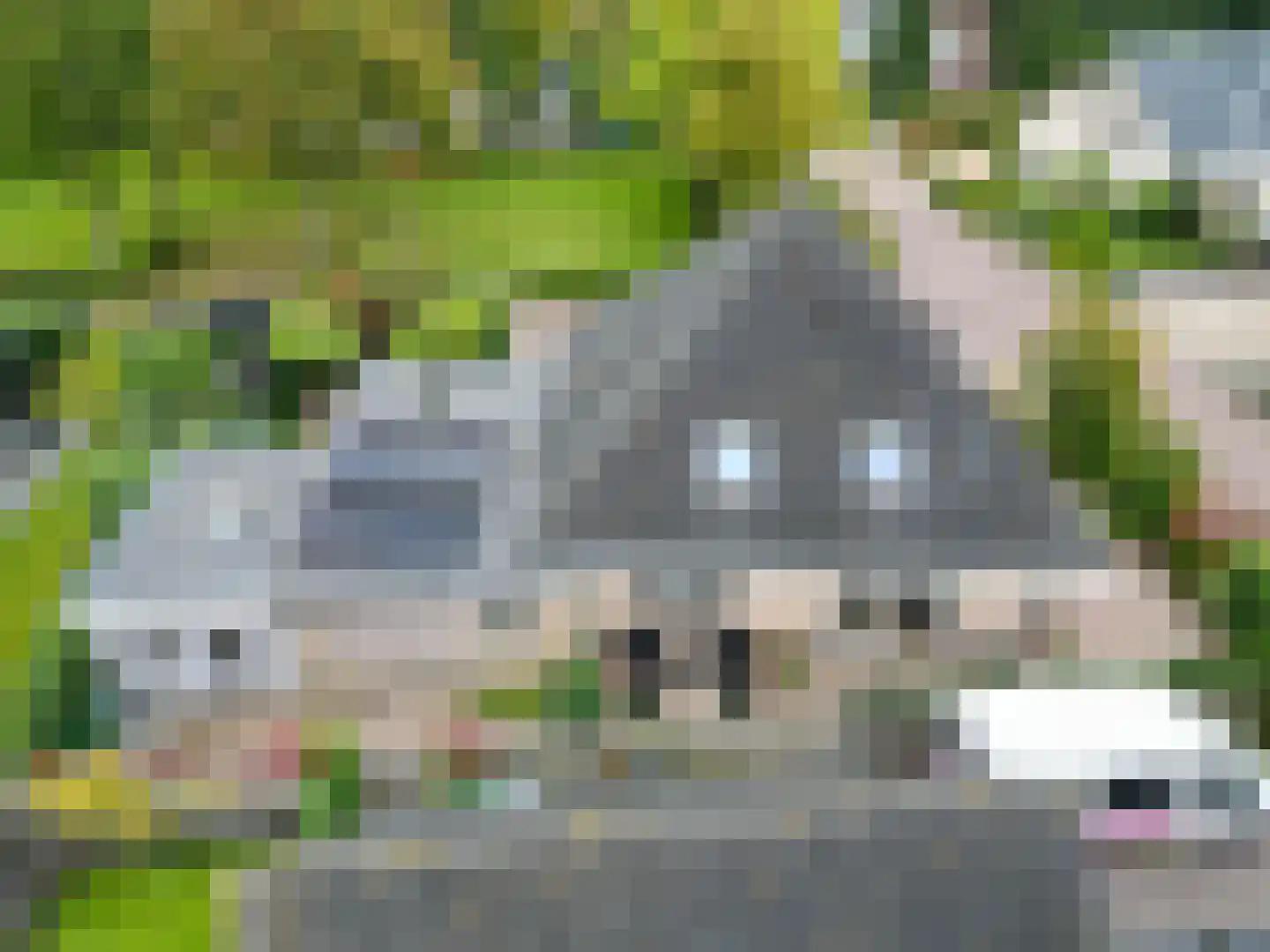 Valeriaan 30 Marum thumbnail 90