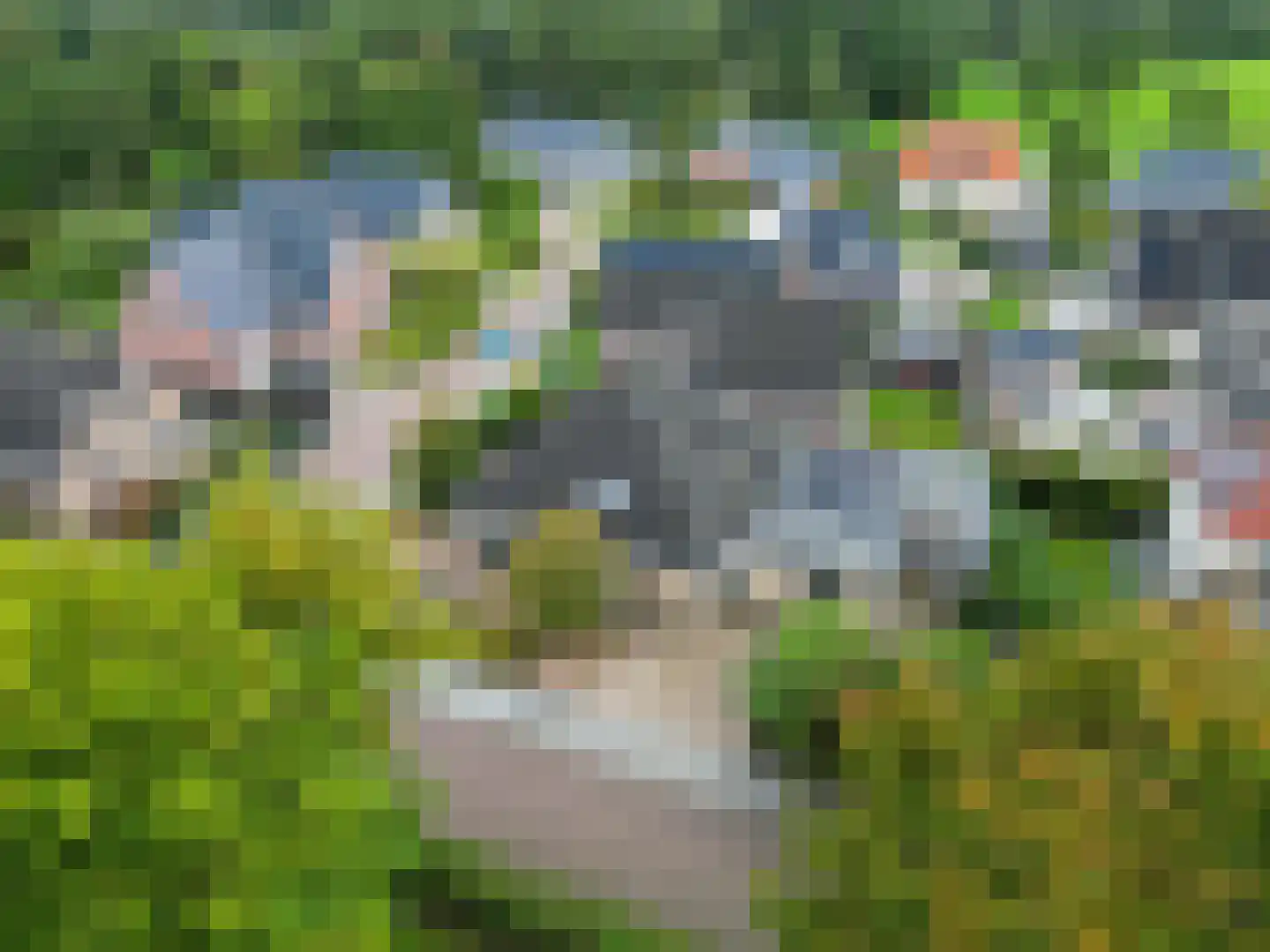 Valeriaan 30 Marum thumbnail 91