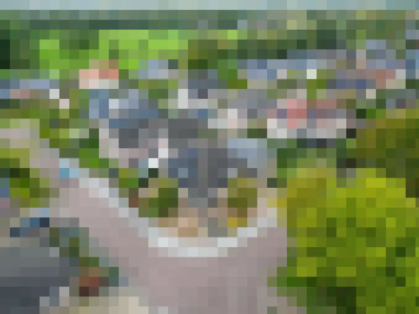 Valeriaan 30 Marum thumbnail 92