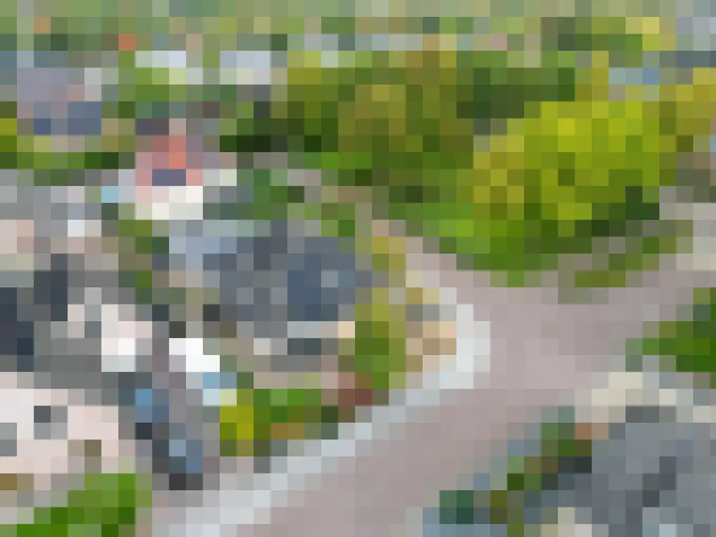 Valeriaan 30 Marum thumbnail 93