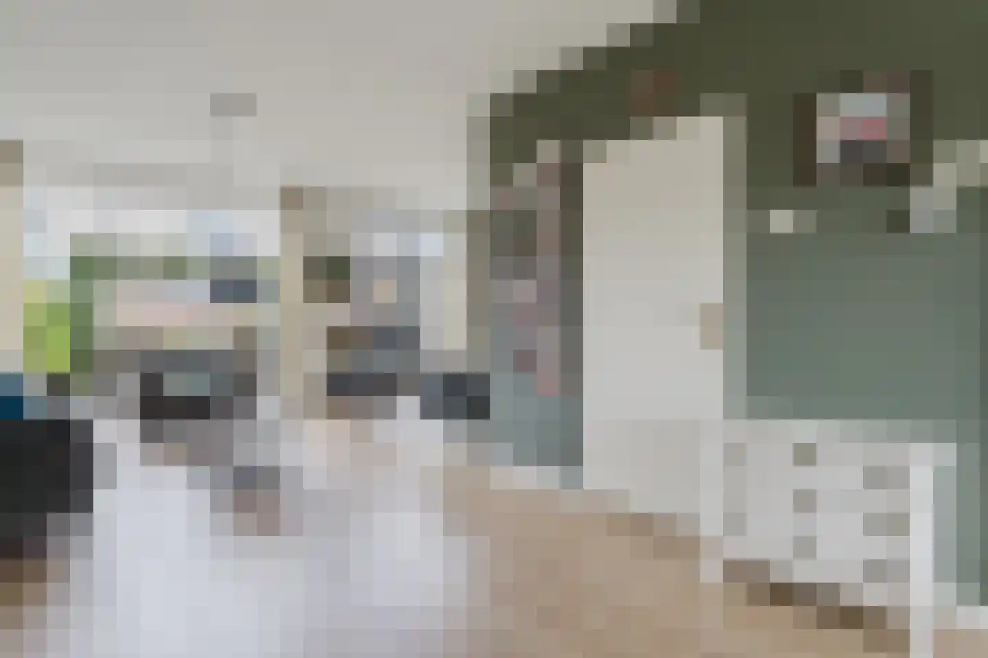 Valeriaan 31 Heerenveen thumbnail 11
