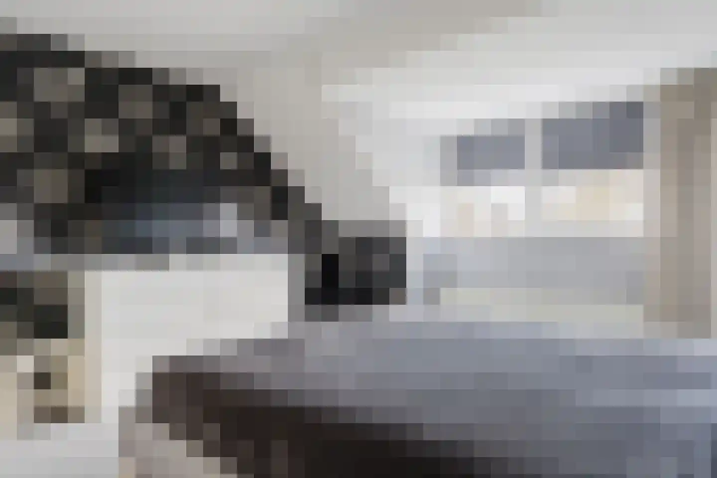 Valeriaan 31 Heerenveen thumbnail 25