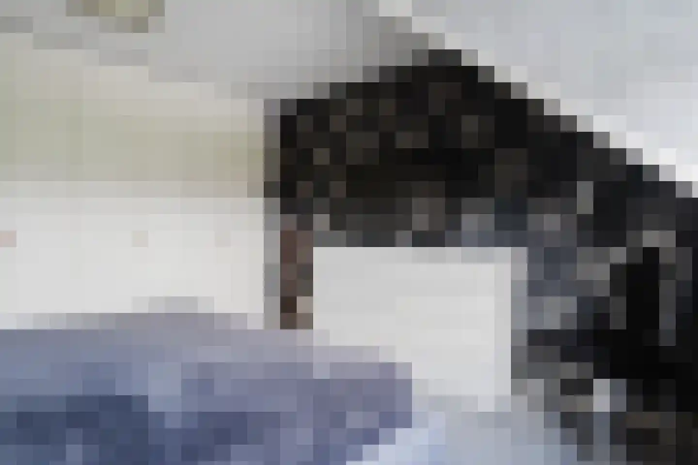 Valeriaan 31 Heerenveen thumbnail 26