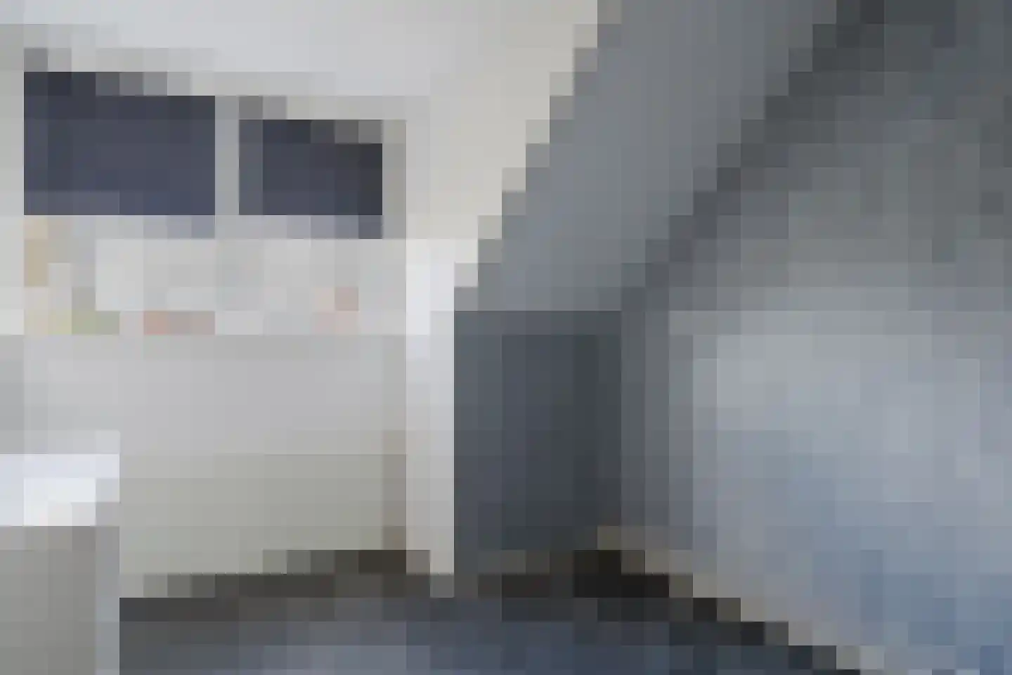Valeriaan 31 Heerenveen thumbnail 28