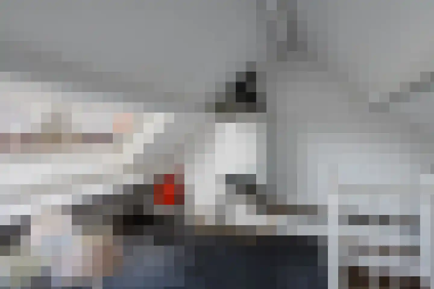 Valeriaan 31 Heerenveen thumbnail 30