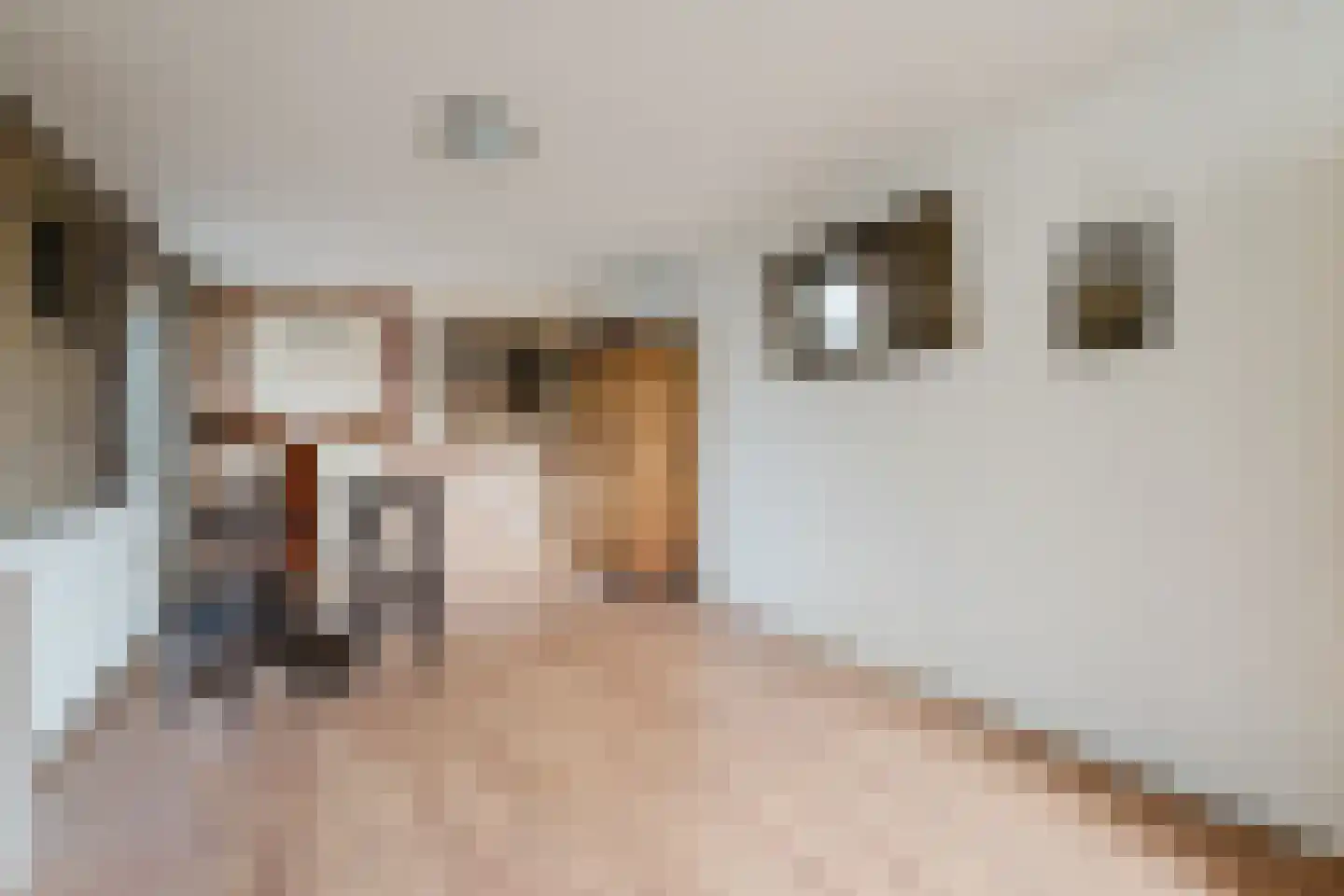 Valeriaan 31 Heerenveen thumbnail 32