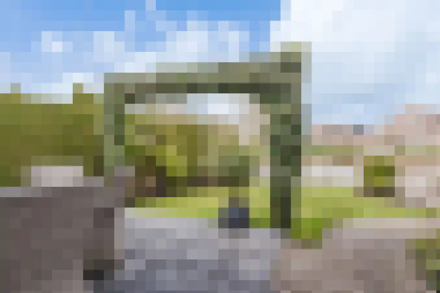 Valeriaan 31 Heerenveen thumbnail 37