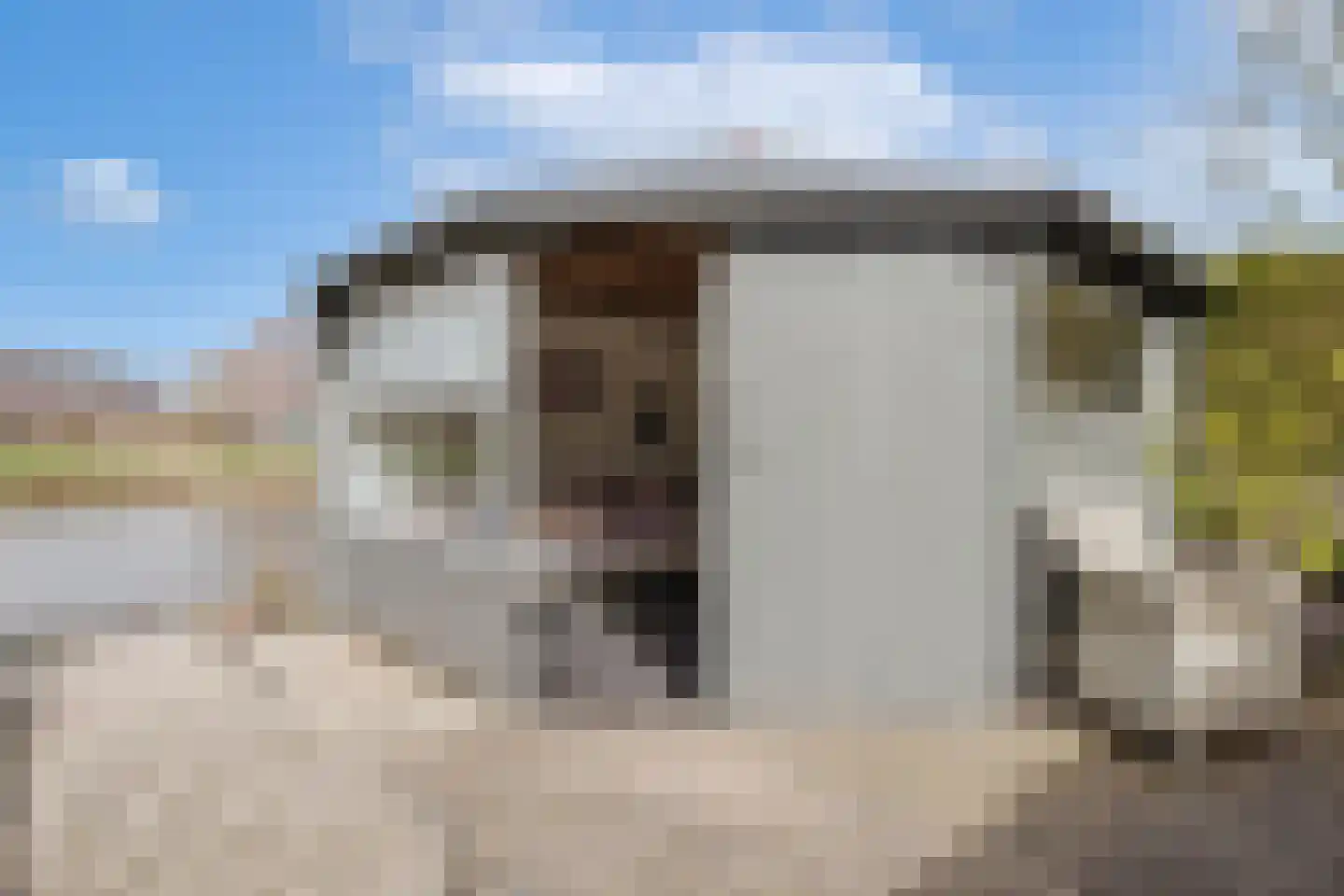 Valeriaan 31 Heerenveen thumbnail 38