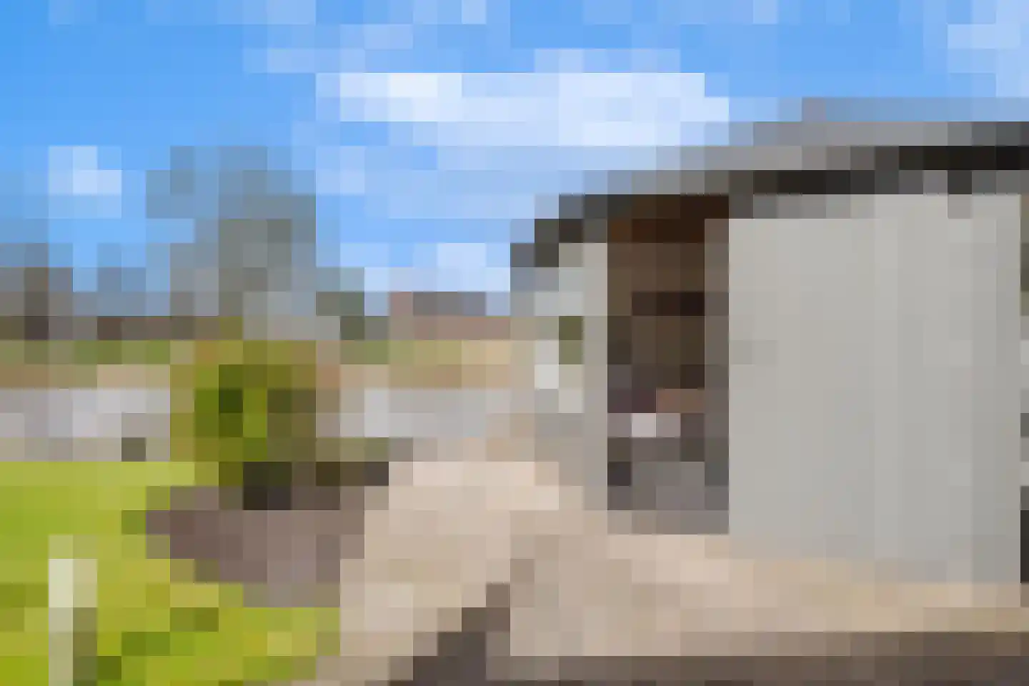 Valeriaan 31 Heerenveen thumbnail 39