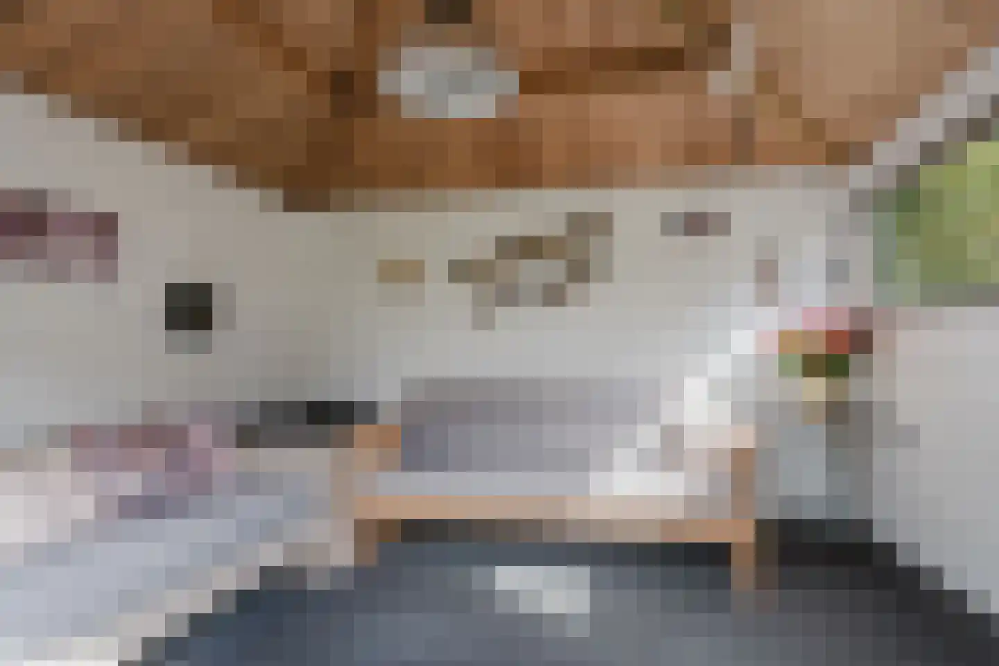 Valeriaan 31 Heerenveen thumbnail 40