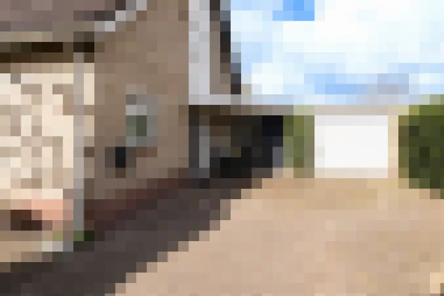Valeriaan 31 Heerenveen thumbnail 6