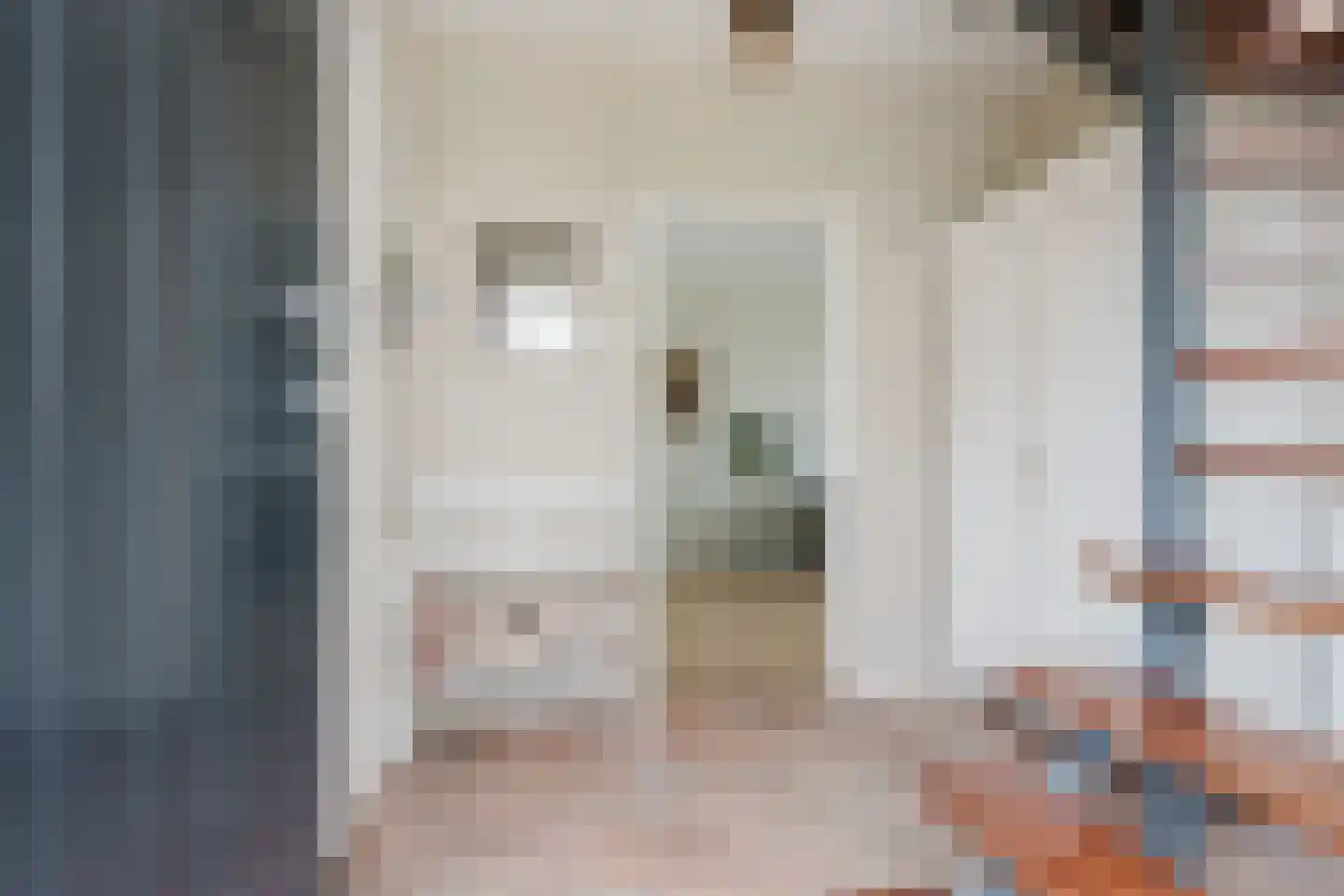 Valeriaan 31 Heerenveen thumbnail 8