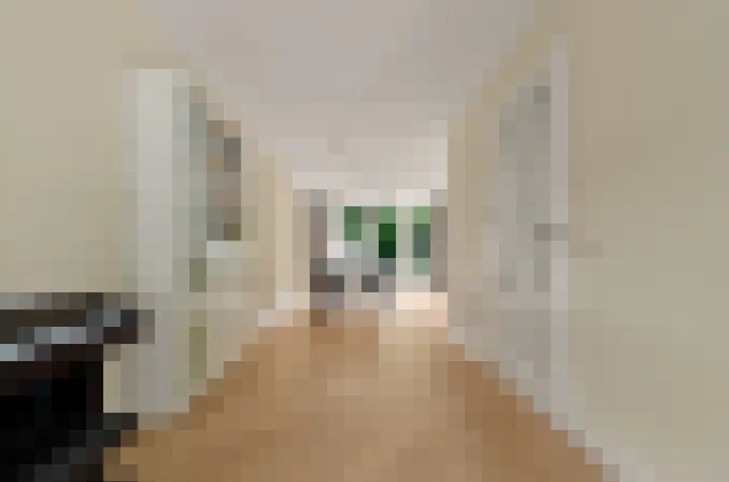 Valeriaan 31 Nijkerk thumbnail 11