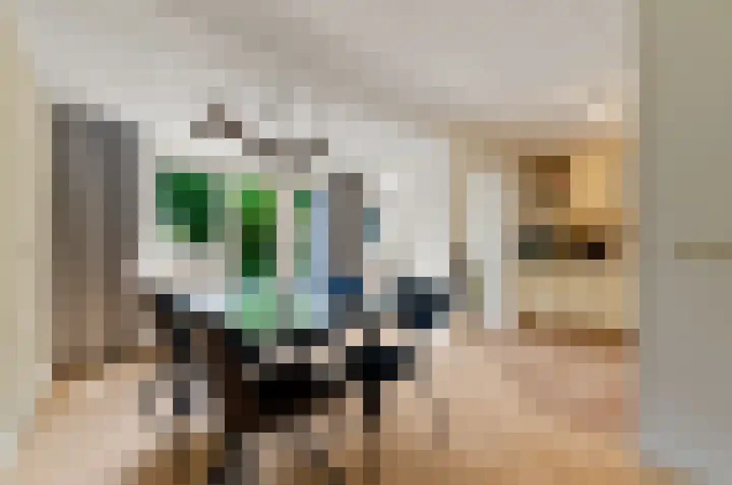 Valeriaan 31 Nijkerk thumbnail 12