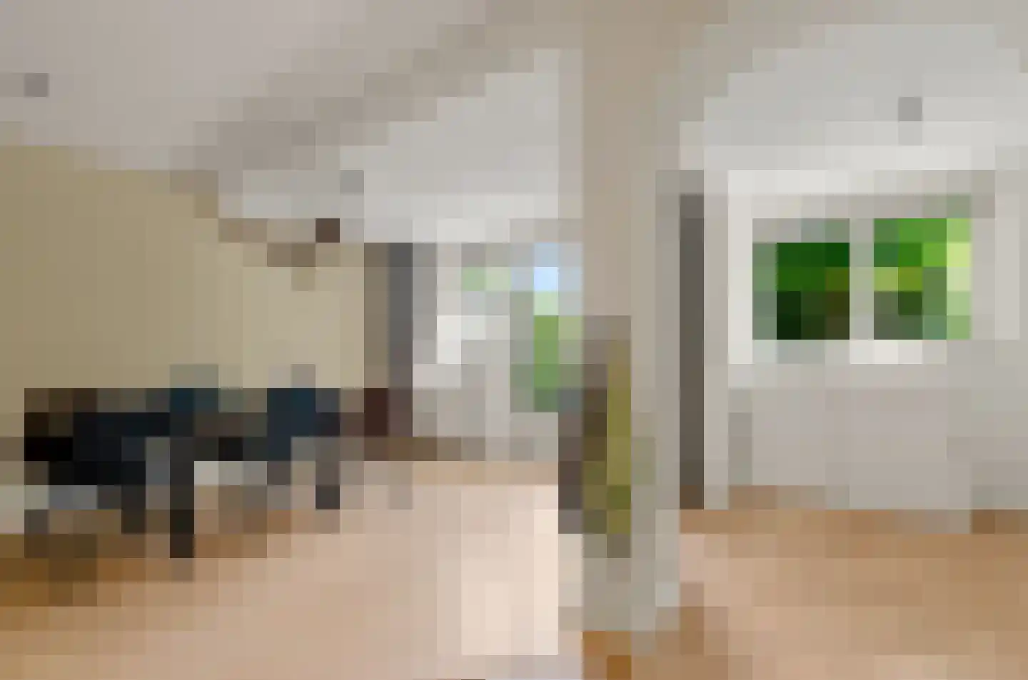 Valeriaan 31 Nijkerk thumbnail 13