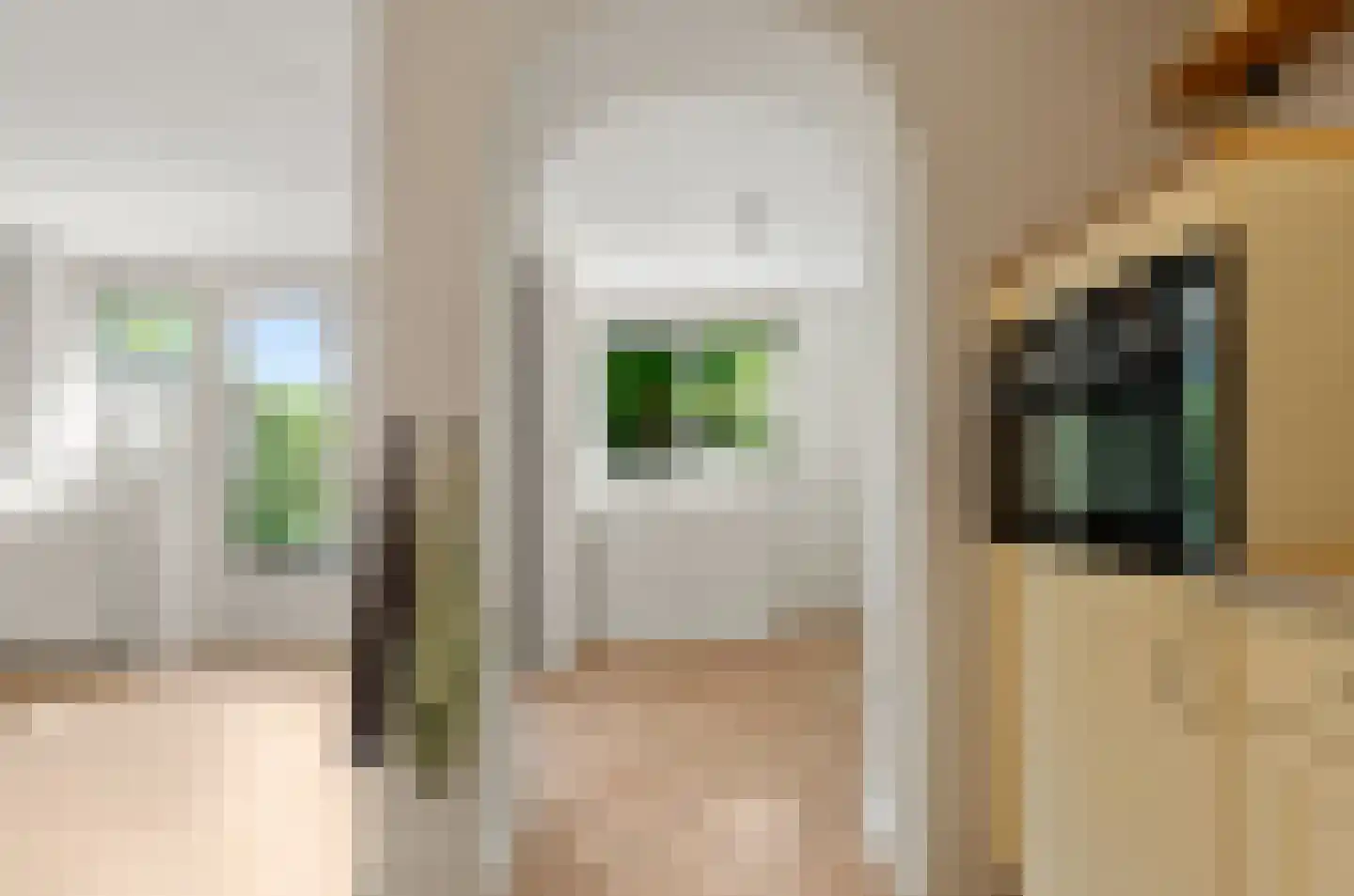 Valeriaan 31 Nijkerk thumbnail 19