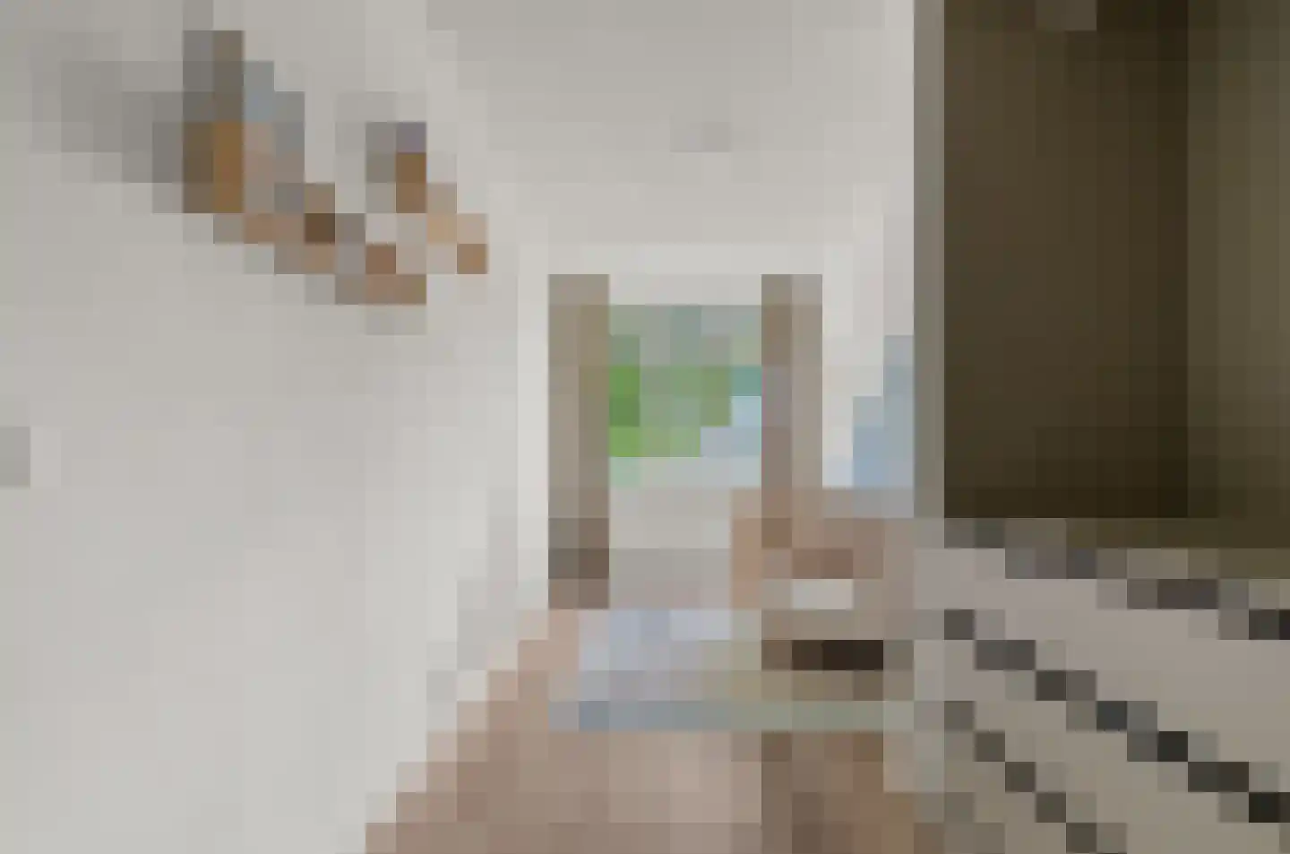 Valeriaan 31 Nijkerk thumbnail 35
