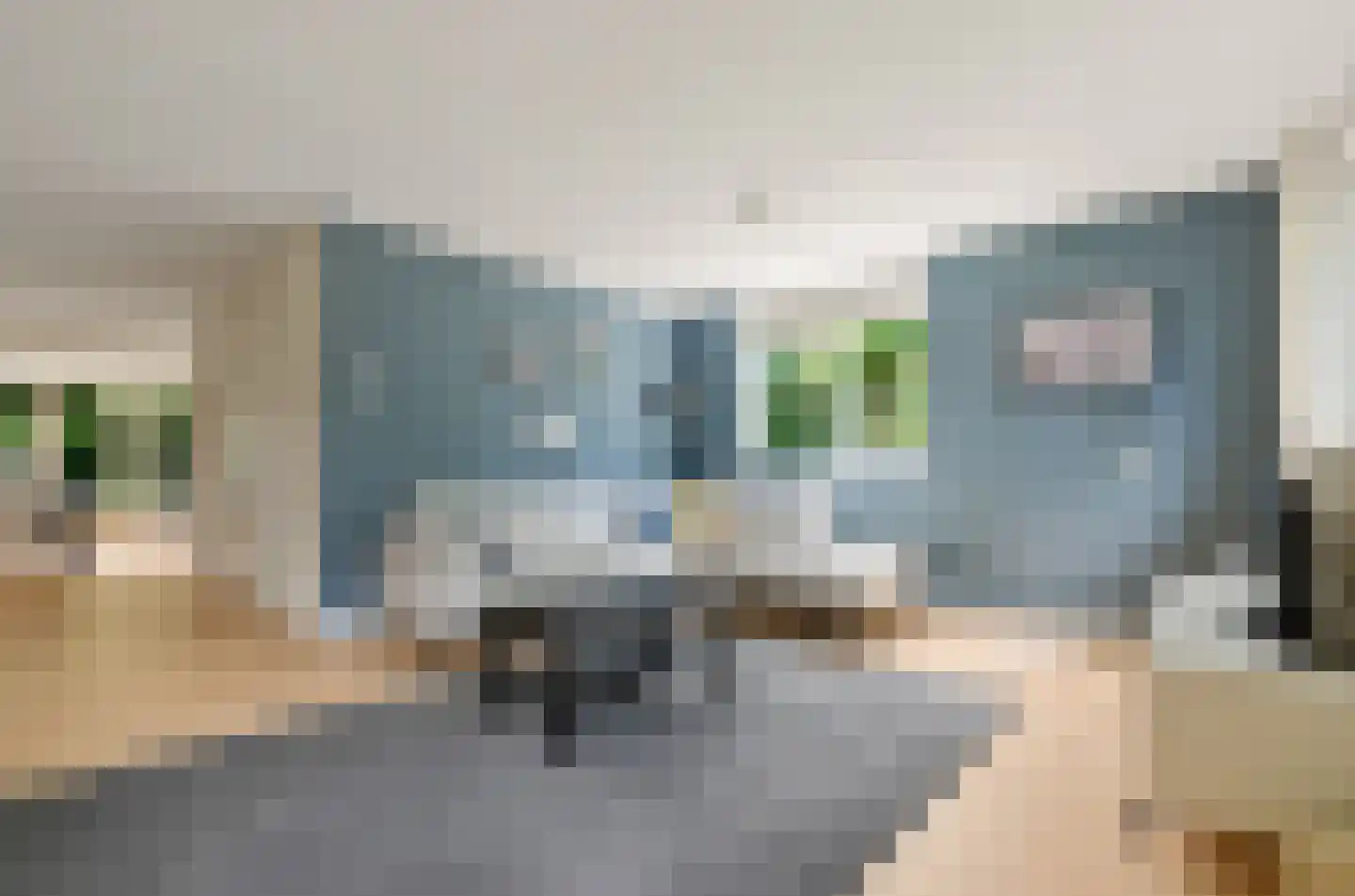 Valeriaan 31 Nijkerk thumbnail 4