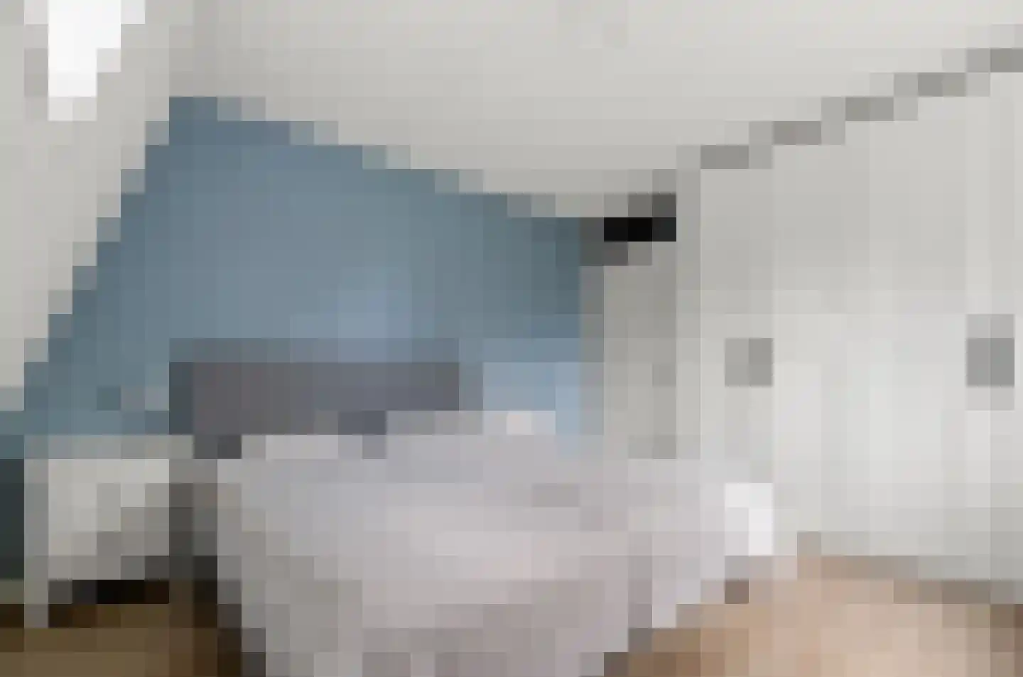 Valeriaan 31 Nijkerk thumbnail 40