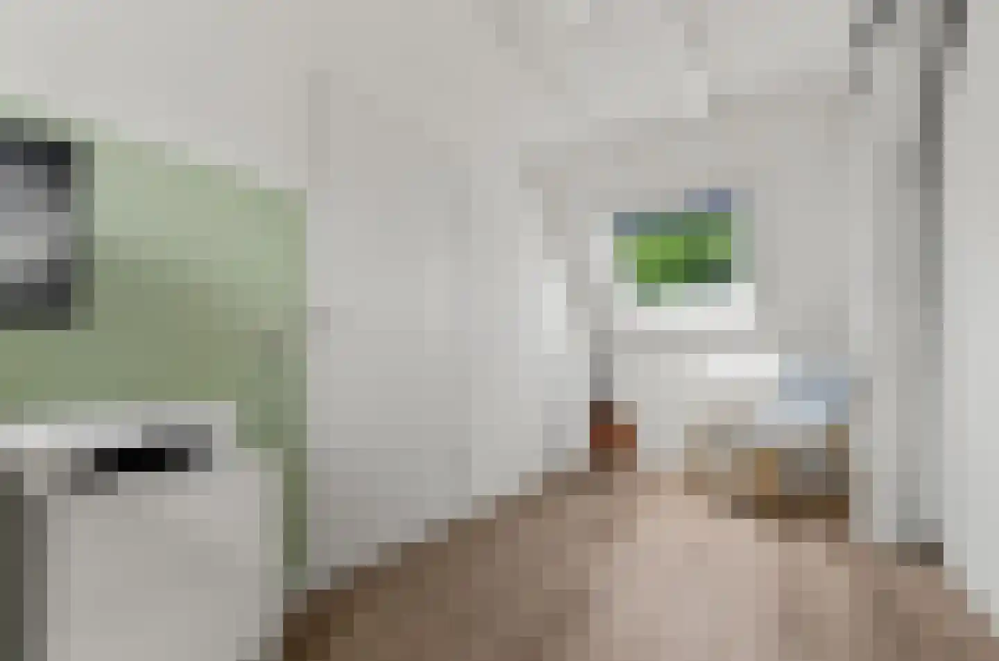 Valeriaan 31 Nijkerk thumbnail 49