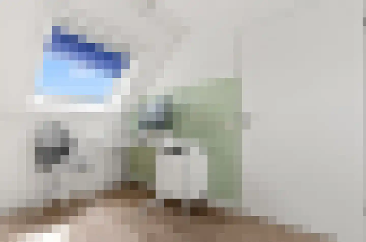 Valeriaan 31 Nijkerk thumbnail 50