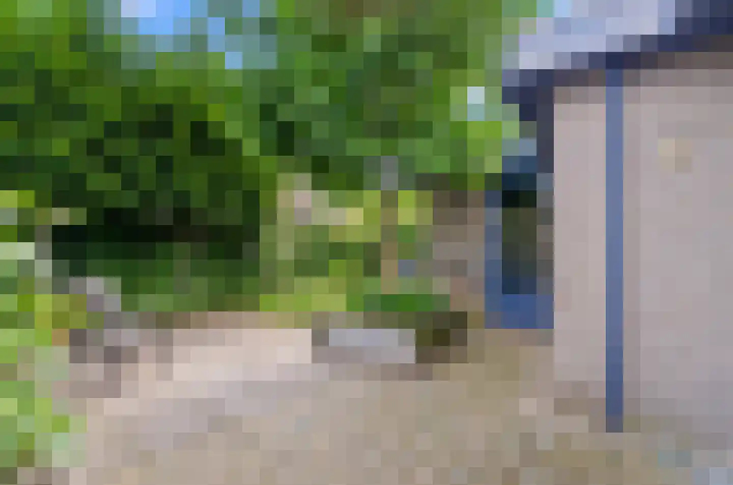 Valeriaan 31 Nijkerk thumbnail 52