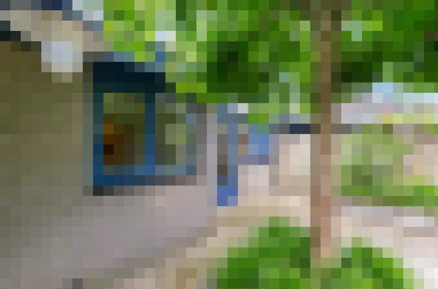 Valeriaan 31 Nijkerk thumbnail 53