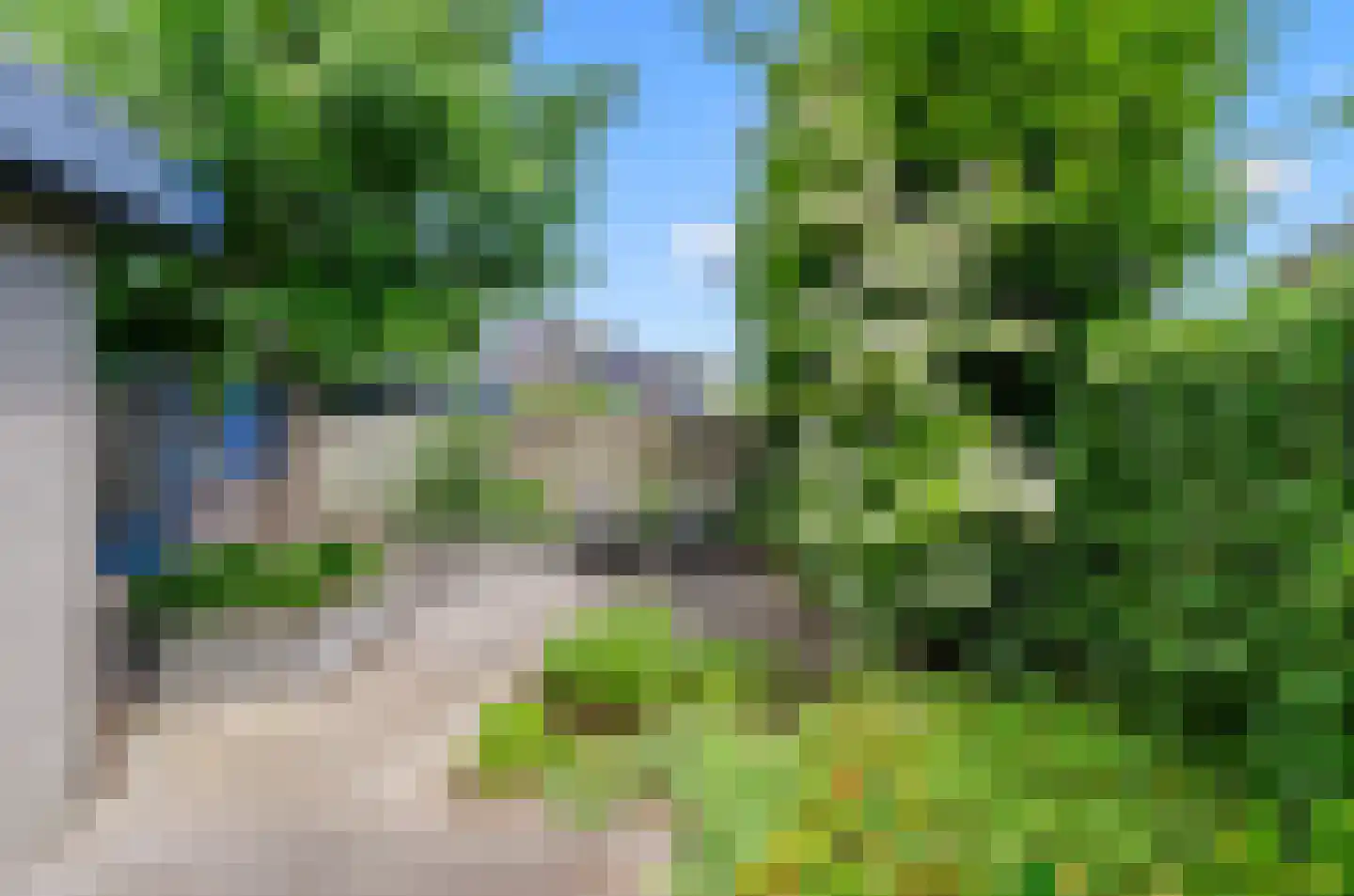 Valeriaan 31 Nijkerk thumbnail 54
