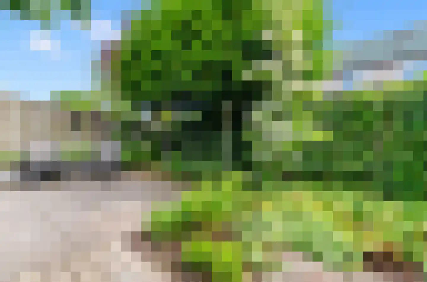 Valeriaan 31 Nijkerk thumbnail 55