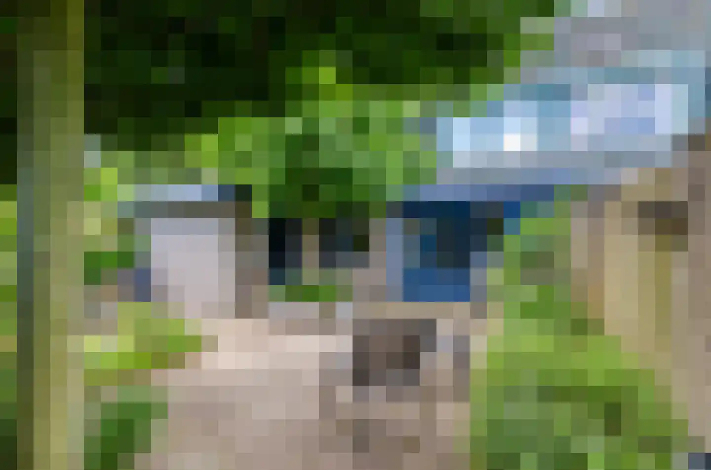 Valeriaan 31 Nijkerk thumbnail 57