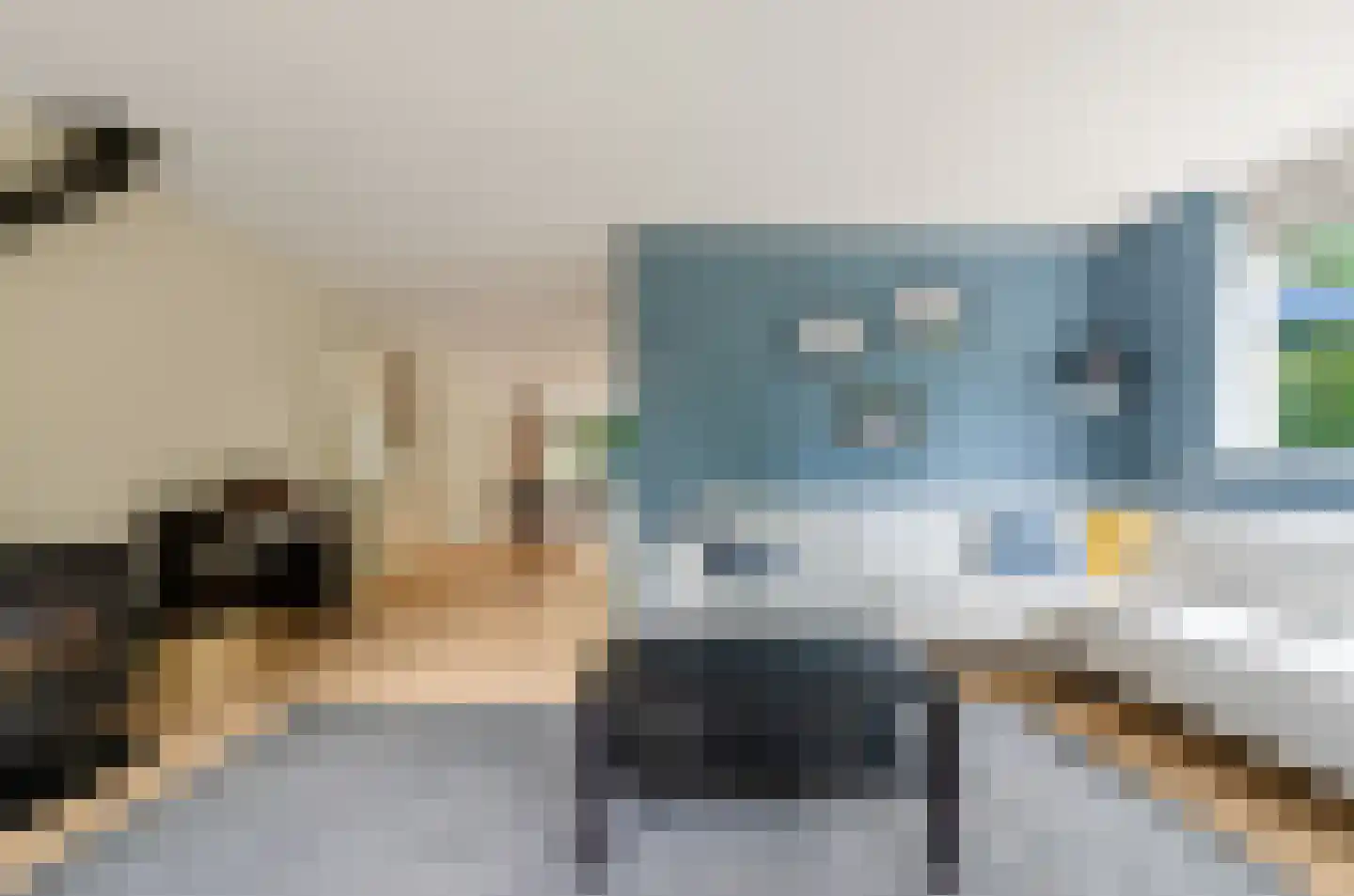 Valeriaan 31 Nijkerk thumbnail 6