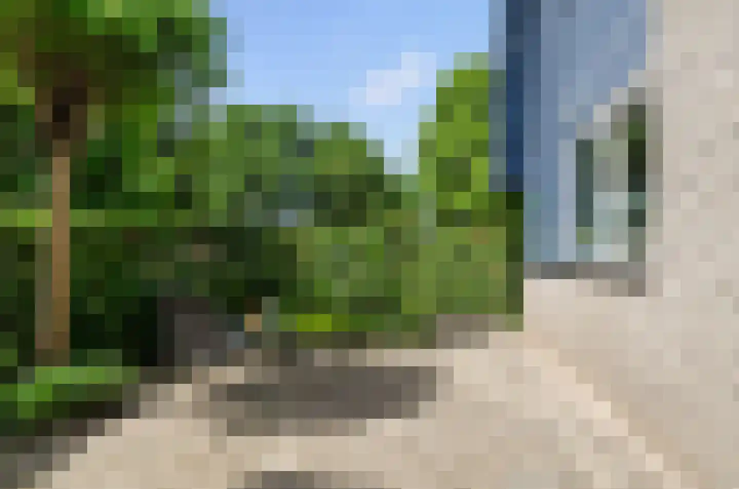 Valeriaan 31 Nijkerk thumbnail 61