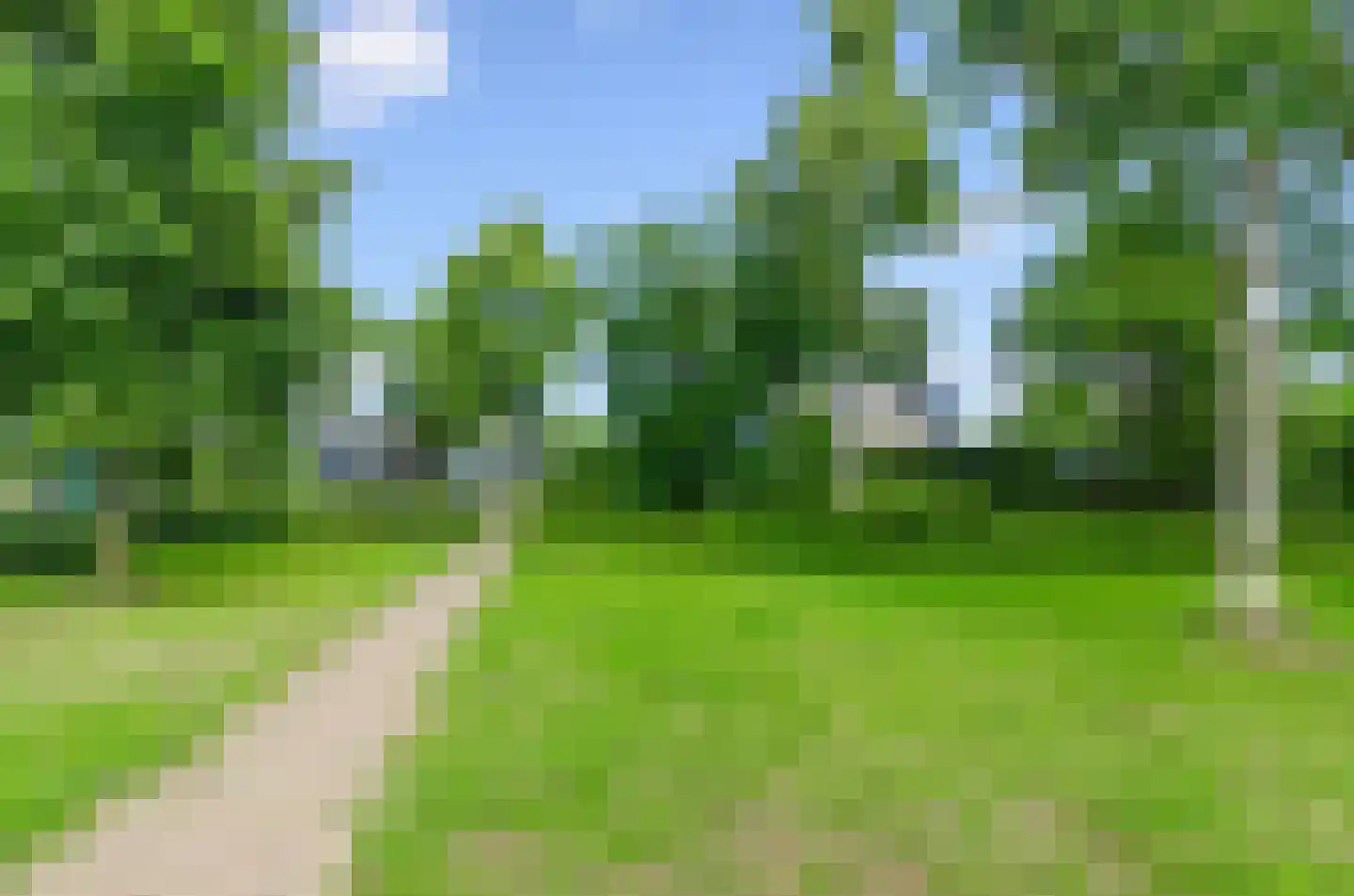 Valeriaan 31 Nijkerk thumbnail 66