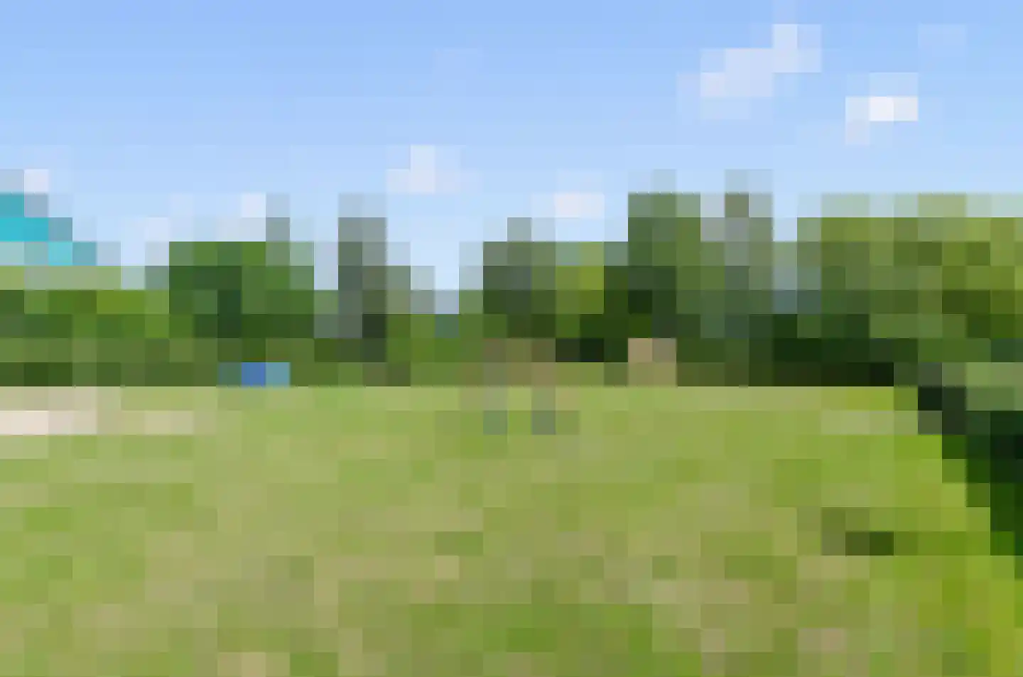 Valeriaan 31 Nijkerk thumbnail 69