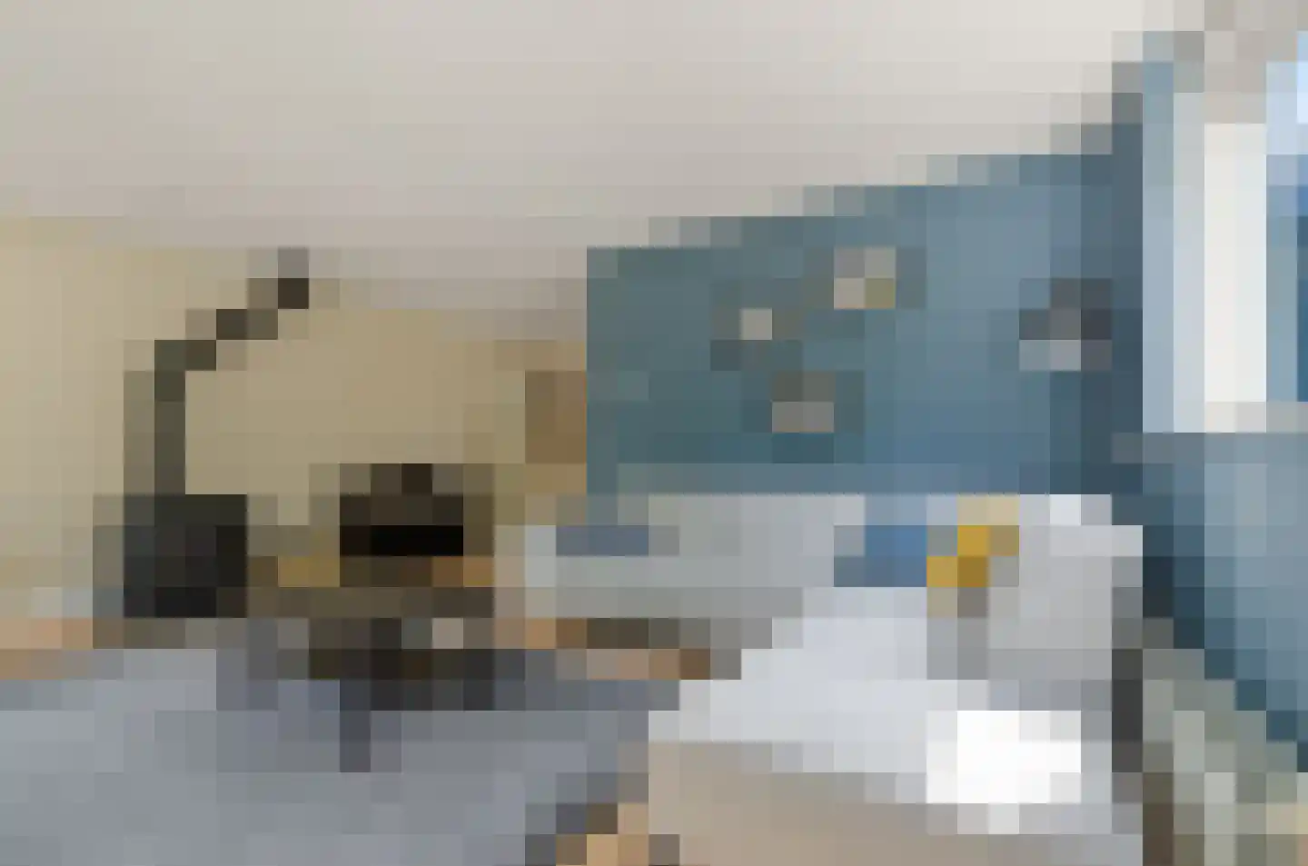 Valeriaan 31 Nijkerk thumbnail 7