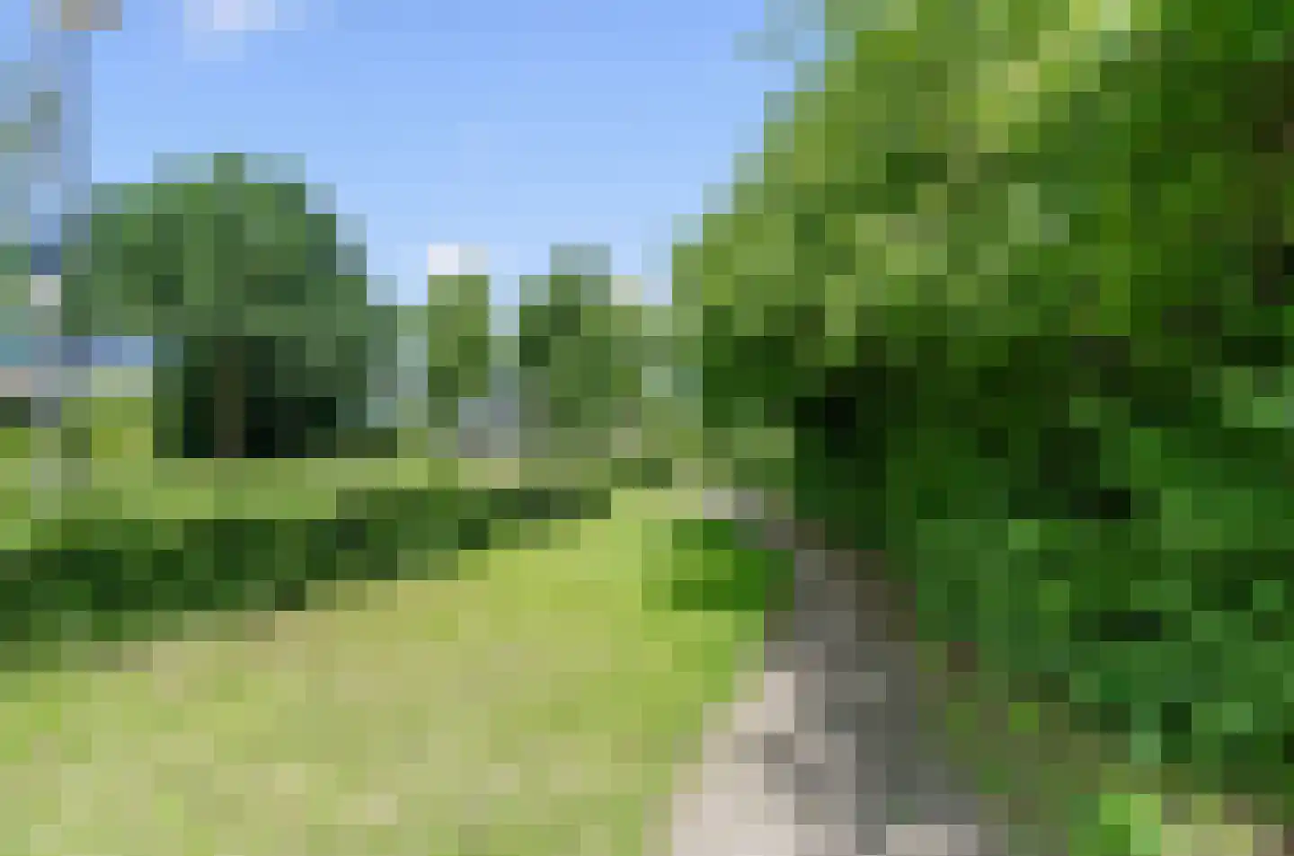 Valeriaan 31 Nijkerk thumbnail 70