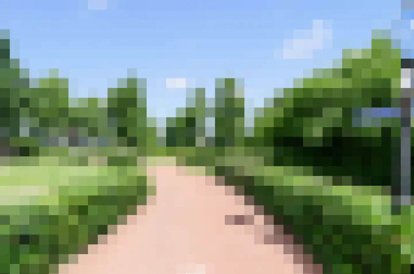 Valeriaan 31 Nijkerk thumbnail 71